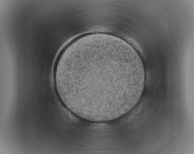 X0000111150784200908111133