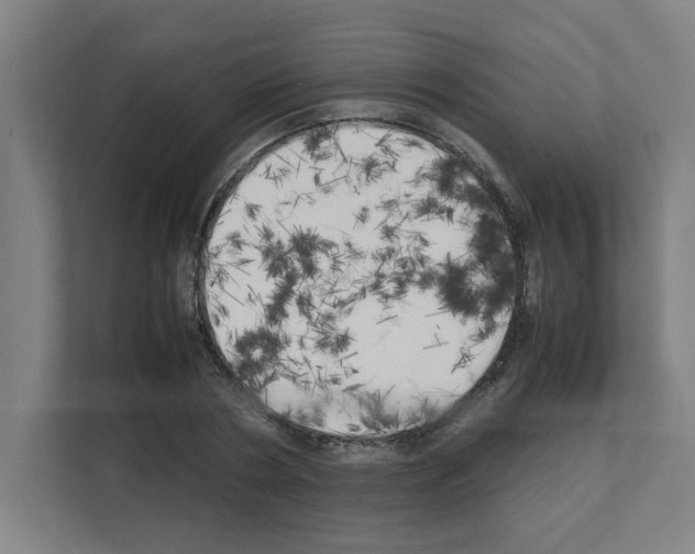 X0000111150786200908111133