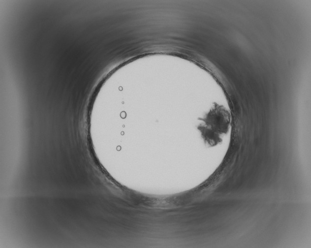 X0000111150787200908111133