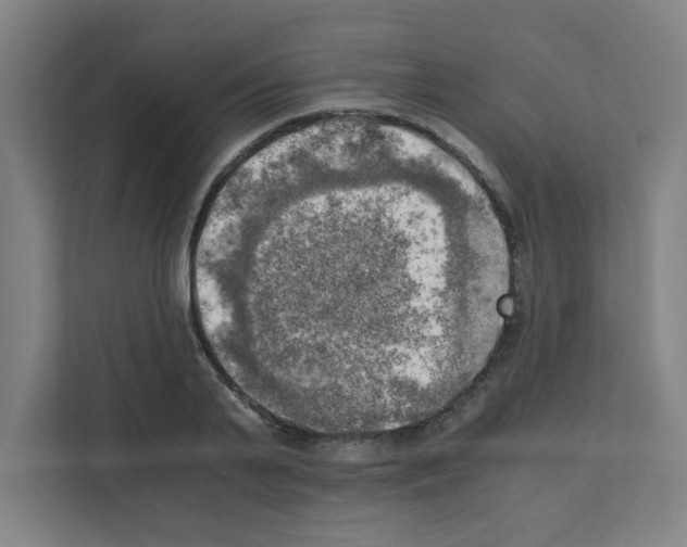 X0000111150791200908111133