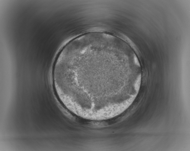 X0000111150795200908111133