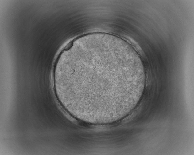 X0000111150796200908111133