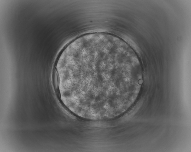 X0000111150797200908111133