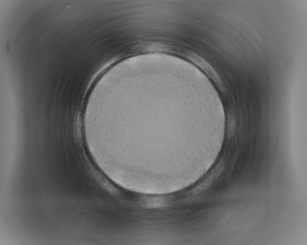 X0000111150798200908111133