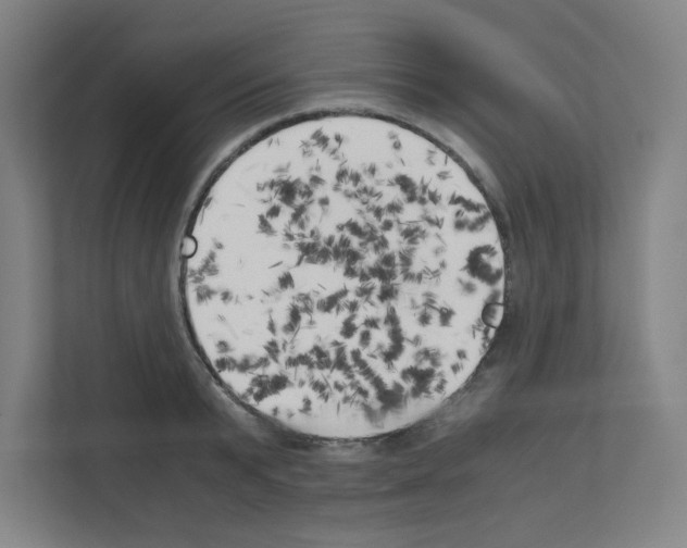 X0000111150799200908111133