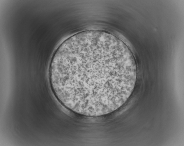 X0000111150803200908111133