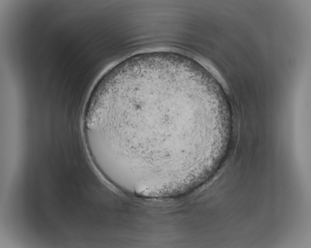 X0000111150805200908111133