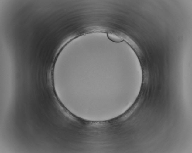 X0000111150806200908111133