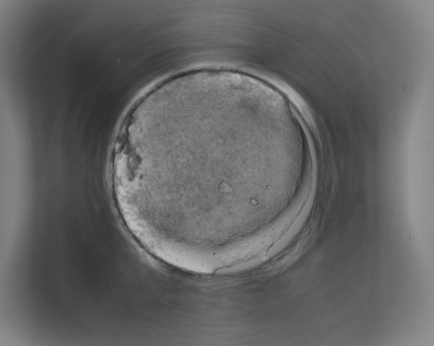 X0000111150807200908111133