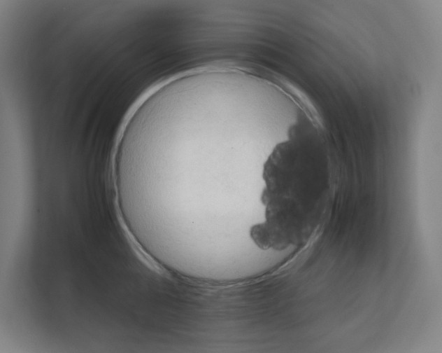 X0000111150808200908111133