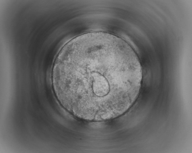 X0000111150810200908111133