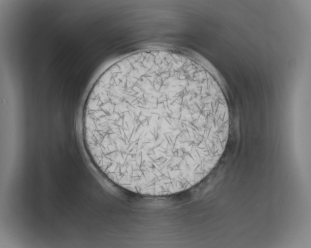 X0000111150811200908111133