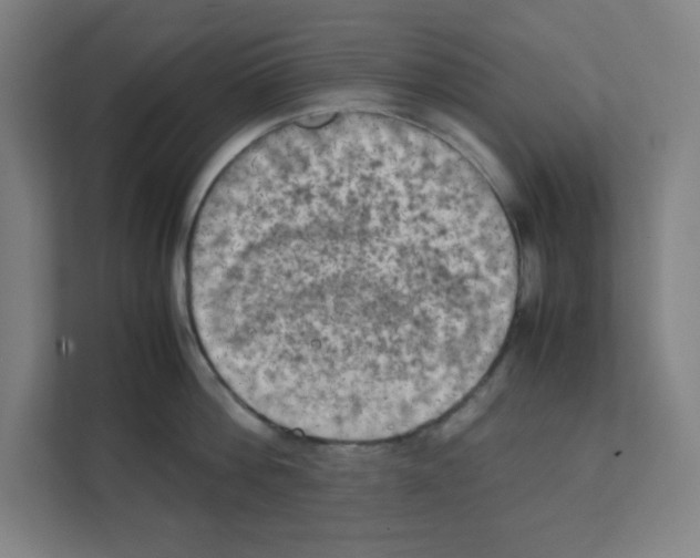 X0000111150812200908111132