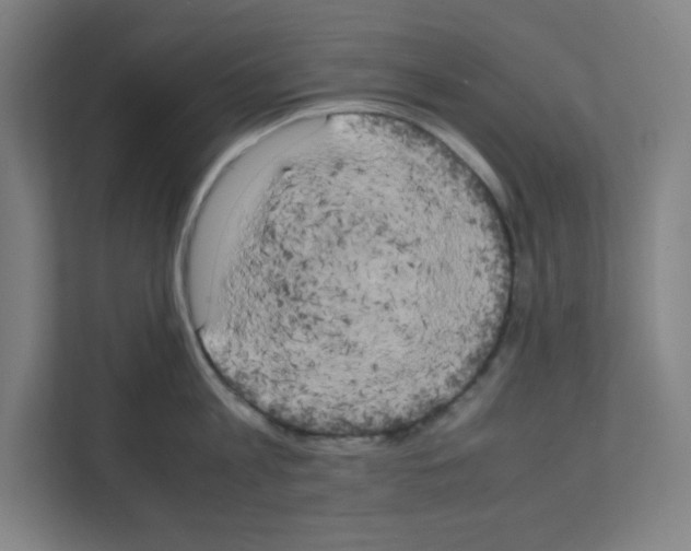 X0000111150813200908111132