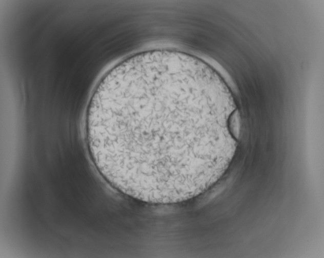 X0000111150815200908111132