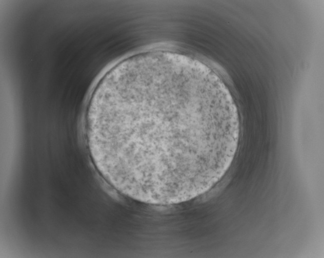 X0000111150816200908111132