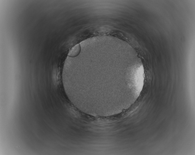 X0000111150818200908111132