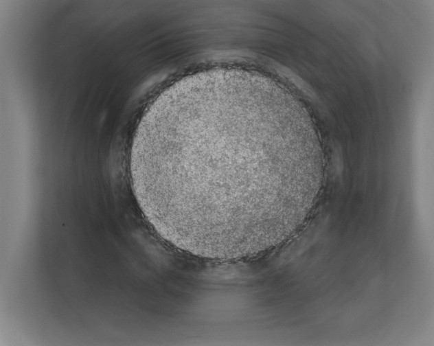 X0000111150824200908111132