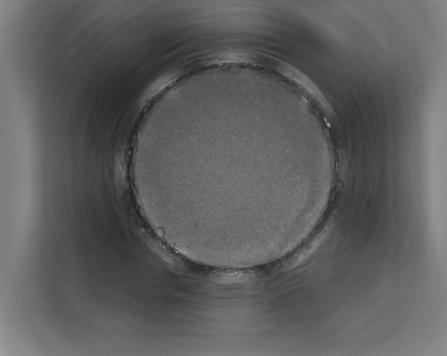 X0000111150826200908111132