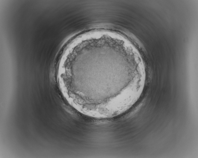 X0000111150830200908111132