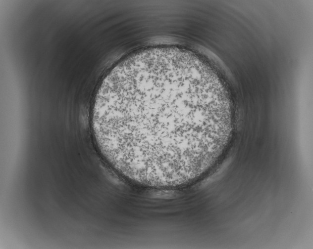 X0000111150833200908111132