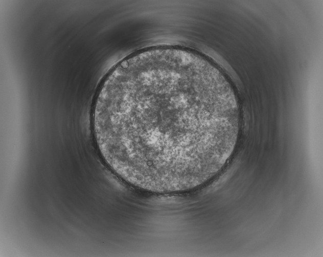 X0000111150834200908111132