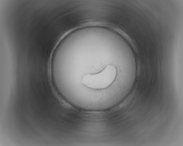 X0000111150836200908111132