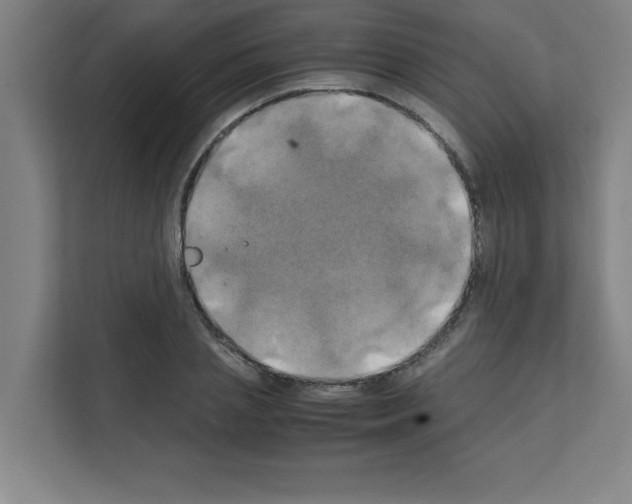 X0000111150837200908111132