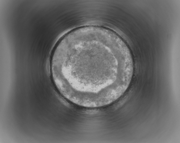 X0000111150838200908111132