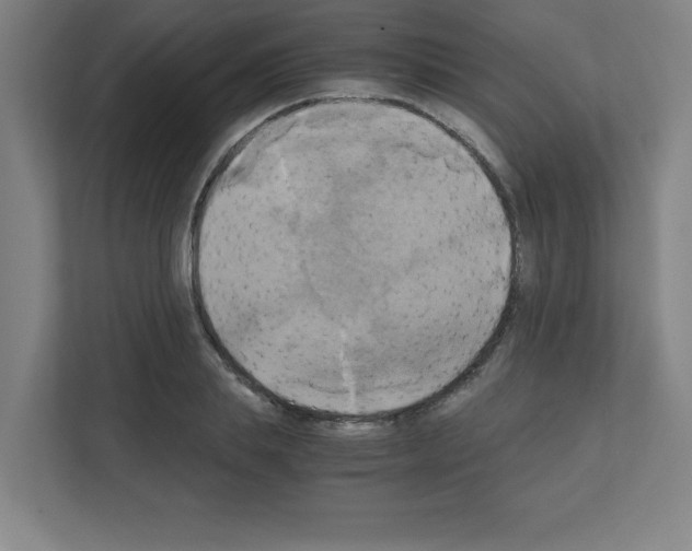 X0000111150839200908111132