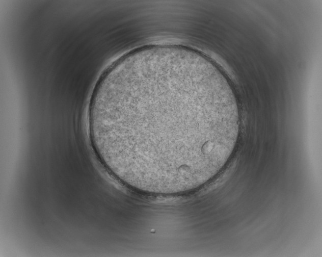 X0000111150840200908111132