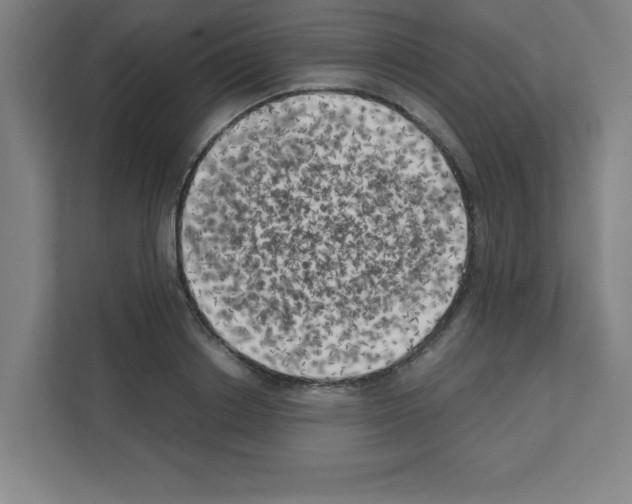 X0000111150842200908111132