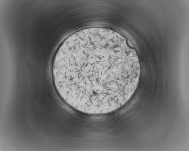 X0000111150843200908111132