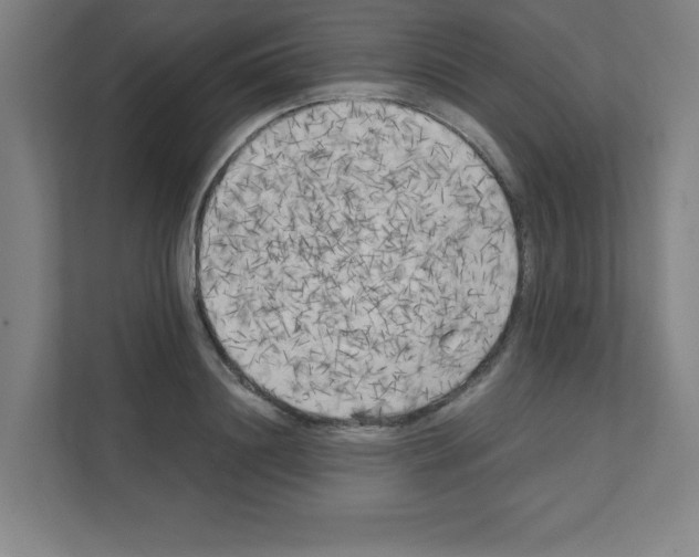 X0000111150844200908111132