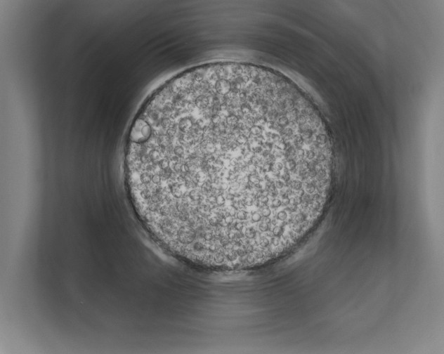 X0000111150846200908111132