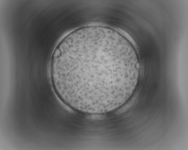 X0000111150847200908111132