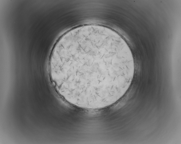 X0000111150848200908111132