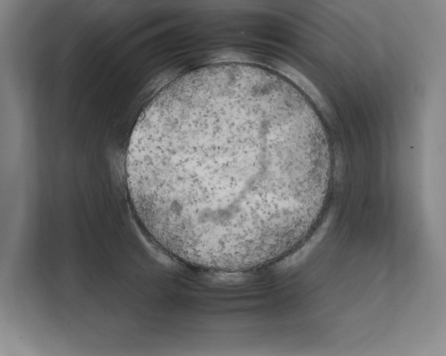 X0000111150849200908111132