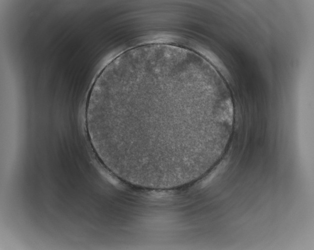 X0000111150850200908111132