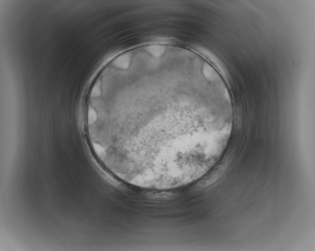 X0000111150851200908111132