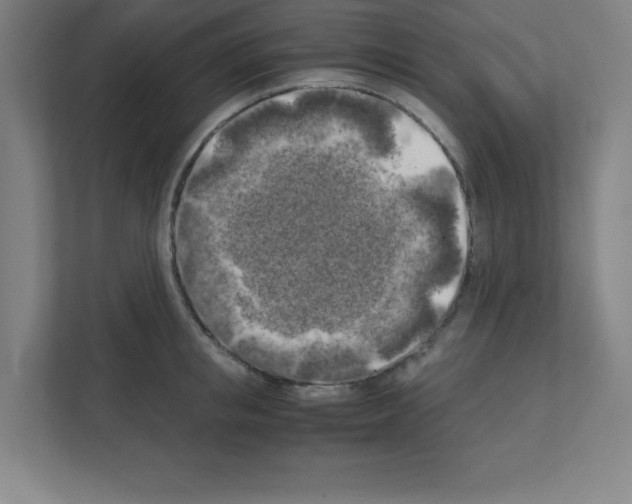 X0000111150853200908111132