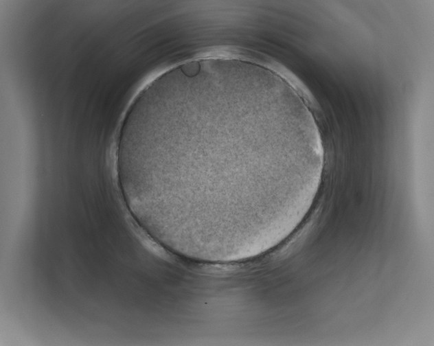 X0000111150854200908111132