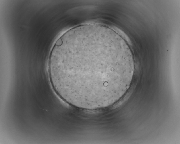 X0000111150855200908111132