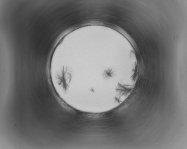 X0000111150861200908111132