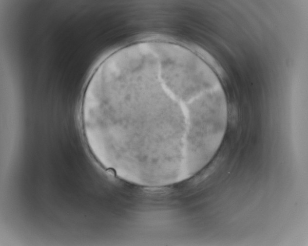 X0000111150863200908111132