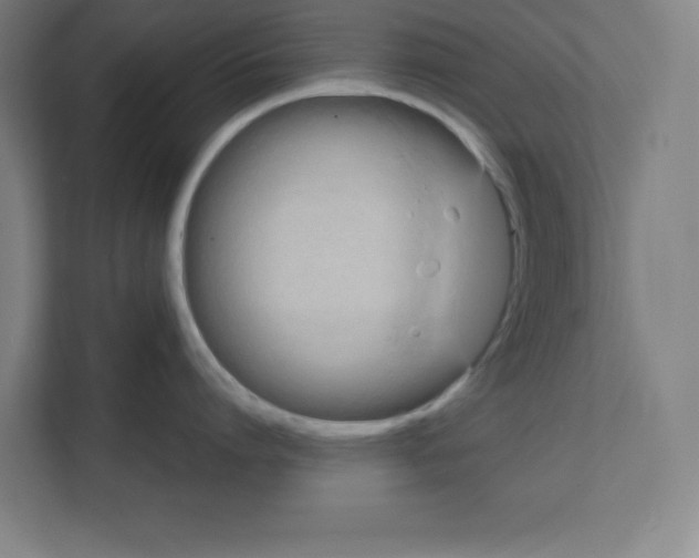 X0000111150864200908111132