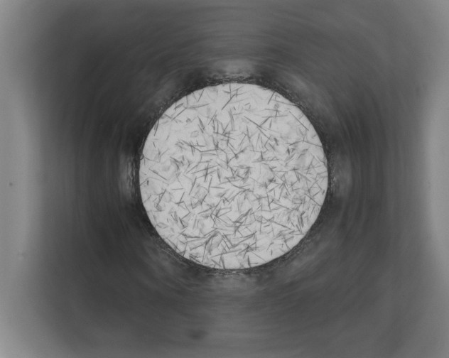 X0000111150866200908111132