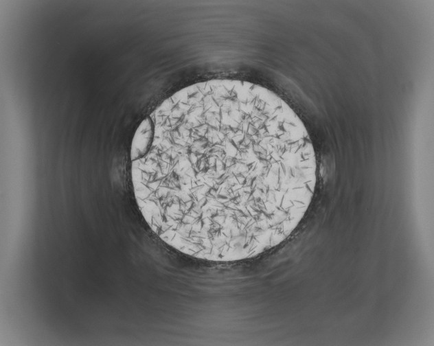 X0000111150867200908111132