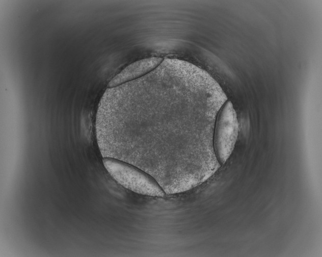 X0000111150868200908111132