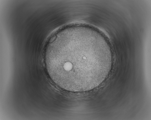 X0000111150872200908111132